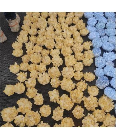 Crystal Rough 1pcs300-700g Big Size Natural Citrine Quartz Geode Druzy Topaz Crystal Cluster Specimen Home Decoration DIY Crafts Feng (Size : 400-500g) - Buy Online on GoSupps.com