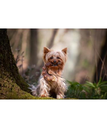 CROCI NIKI NAT.BARF Turkey Necks for Dogs 250 g - Buy Online on GoSupps.com