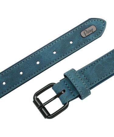 Didog Personalized Leather Dog Collar with Engraved Name Tag - Soft & Padded for Small & Medium Dogs 33-40 cm - Custom Blue - Buy Online on GoSupps.com