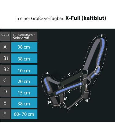 Buy Halfer XXFull Cold Blood Horse Halter - Adjustable 2 Compartment Halters in Black & Blue for Stable Use - Buy Online on GoSupps.com