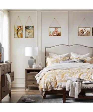 TLBTEK 2 pcs Hanging Photo Frames - 5x7 inch Double Glass Frames for Pressed Flowers - Vintage DIY Artwork Display - Wall Mounted Photos Frame - Horizontal and Vertical Display - Clear Glass - Buy Online on GoSupps.com