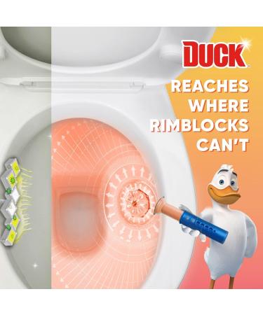 Duck Fresh Discs Toilet Cleaner Twin Pack Refills Sanitising & Descaling Toilet Bowl Gel Kills Germs and Bacteria Tropical Summer Pack of 5 x 72ml - Buy Online on GoSupps.com