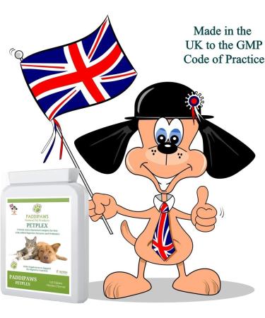 Probiotics for Dogs and Cats - Yeast Infection Treatment for Dogs - Dog Probiotics for Gut Health - 5 strain active bacteria with digestive enzymes and prebiotics - 120 Chicken Flavour Tablets. - Buy Online on GoSupps.com