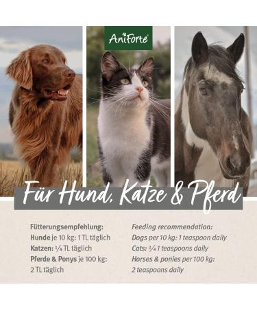 AniForte Cold-Pressed Organic Hemp Oil for Dogs & Horses - 1L 100% Pure BARF Oil | Premium Natural Product Without Additives - Buy Online on GoSupps.com