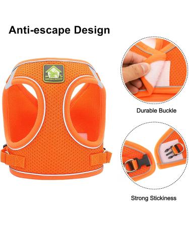 Buy Zhenle Adjustable Cat Harness for Small Animals - Perfect Fit & Comfort for Cats (M) - International Shipping Available - Buy Online on GoSupps.com