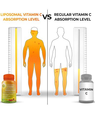 Antioxidant & Immunity Support Bundle - Liposomal Vitamin C 1500mg with Organic Acerola Cherry & Camu Camu + Women's Daily Multivitamin with Iron Superfoods Probiotics & Enzymes Vegan Non-GMO - Buy Online on GoSupps.com