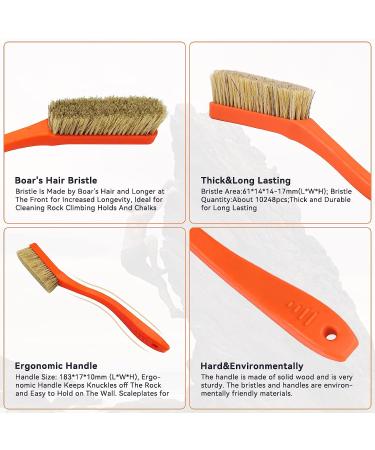 Two Stones Climbing & Bouldering Brush | Natural Boar's Hair | Durable Handle | Indoor/Outdoor Use | Black&Deep Blue - Buy Online on GoSupps.com