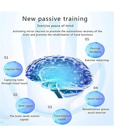 Electric Rehabilitation Robot Glove Finger Training Rehab Orthotics Training Gloves Stroke Hand Splint Assistive Gloves Training Equipment for Long Term Relief Lefthand Small - Buy Online on GoSupps.com