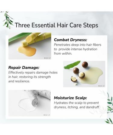 Botanist Moisturizing Hair Conditioner - Natural Japanese Haircare for Dry & Frizzy Hair - Grapefruit & Sage Scalp Treatment 16.2 Oz - Buy Online on GoSupps.com