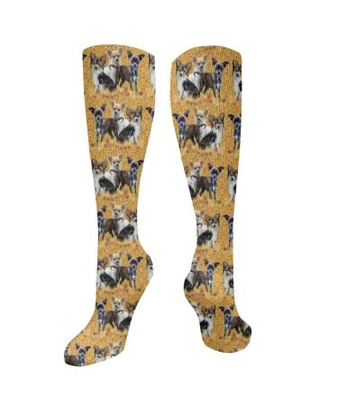 Chihuahua grouping compression socks for women and men with a circulation of 15 20 mmHg are the best support for sporty running and cycling