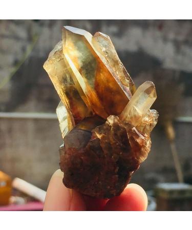 65g Natural Black Smoked Citrine Quartz Crystal Cluster Rough Specimen Suitable for Home ERTEYIN - Buy Online on GoSupps.com