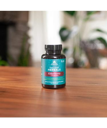 Ancient Nutrition Elderberry + Probiotics | Dr. Axe | 60 Capsules | Immune Support - Buy Online on GoSupps.com