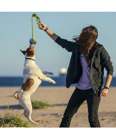 Dog Rope Toys for Medium Dogs - 7 Pack Durable Rope Chewy Toys for Dog Teething Cleaning Dog Training Prevents Boredom and Relieves Stress - Buy Online on GoSupps.com