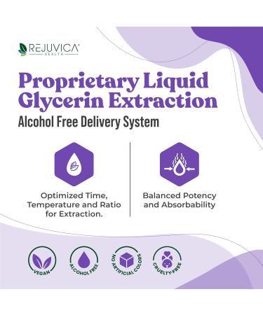 Nervestra Nerve Health Support Supplement | Fast-Absorbing Herbal Liquid - Turmeric White Willow Bark B-Vitamins & More for Optimal Nerve Function - Buy Online on GoSupps.com