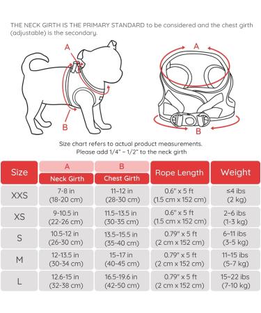 Bella & Pal Dog Harness for Small Dogs - Step-in Air Mesh Leash & Reflective Breathable Breastwear - Ideal for Puppies & Cats - Size S (35-40cm) - Stylish Red - Buy Online on GoSupps.com