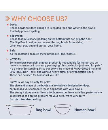 Peggy11 6-Cup Stainless Steel Anti-Slip Dog Bowls - Set of 2 - Buy Online on GoSupps.com