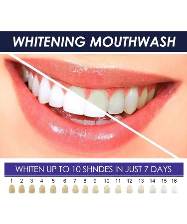 Mouthwash for Fresh Breath & Teeth Whitening | Effective Travel Mouthwash - Buy Online on GoSupps.com