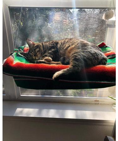 Lcybem Cat Window Hammock - Sturdy Suction Cups Window Perch for Cats - Holds Two Large Cats - 360 Sunbathe - Indoor Cat Window Seat - Buy Online on GoSupps.com
