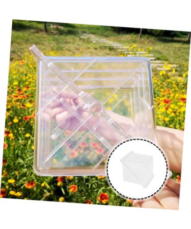 Uonlytech 2pcs Tools Vegetable Cucumber Molds for Yard Fruit Pumpkin Square Watermelon Stereotypes 15x15cmx2pcs Transparentx2pcs - Buy Online on GoSupps.com