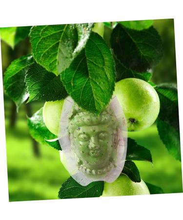 SUPVOX Clear Supply Shaped Transparent Tool Small for Growth Ginseng Melon Forming Fruits - Buy Online on GoSupps.com