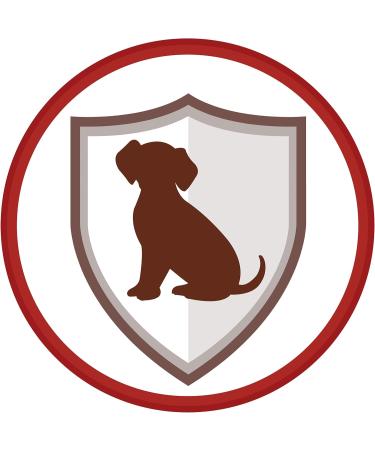 Purina One Mini Delicate Salmon With Rice - 1.5kg - Dry Food for Small Dogs with Sensitive Digestion - Pack of 6*1.5 KG - Buy Online on GoSupps.com