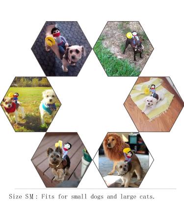 DELIFUR Dog Costumes | Pet Halloween Cowboy Rider Style Outfits for Small Dogs - Buy Online on GoSupps.com