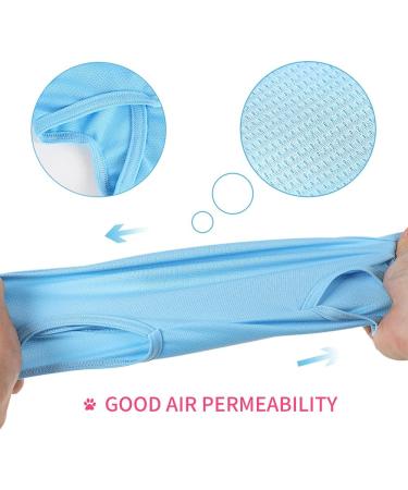 Easy Joy Recovery Suit for Cats - Postoperative Litter Clothing for Abdominal Wounds | E-Collar Alternative | Soft Indoor Pet Apparel (M Blue) - Buy Online on GoSupps.com