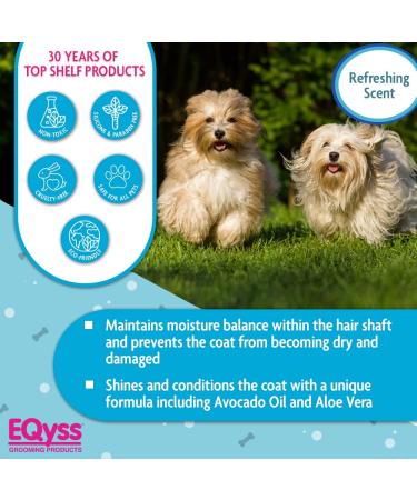 Eqyss Avocado Mist Pet Conditioner 16oz - Shines, Conditions, Reduces Shedding - Buy Online on GoSupps.com