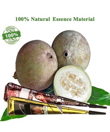 Temporary Tattoos Kit: 4Pcs Semi Permanent Tattoo Cones for DIY Body Art | India Body Painting Set for Women Men Kids | Summer Trend Freehand Paste with 3 Colors, 20 Stencils & 4 Nozzles - Buy Online on GoSupps.com