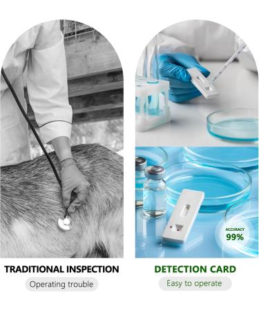 Sheep/Goat Pregnancy Rapid Detection Test 2 Pack | Fast & Accurate Results for Farmers - Buy Online on GoSupps.com