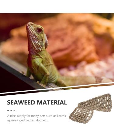 POPETPOP Reptichip 2pcs Lizard Hammock Jungle Climber Reptile Lizard Bearded Dragon Hammock Reptile Lounger Hammock Bed for Anoles Bearded Dragons Geckos Iguanas Hermit Crabs Jungle Toys - Buy Online on GoSupps.com