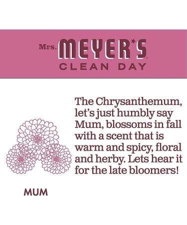 Mrs. MEYER'S Liquid Dish Soap Variety Pack 1 Apple Cider 1 Mum 2 CT Apple Cider + Mum - Buy Online on GoSupps.com