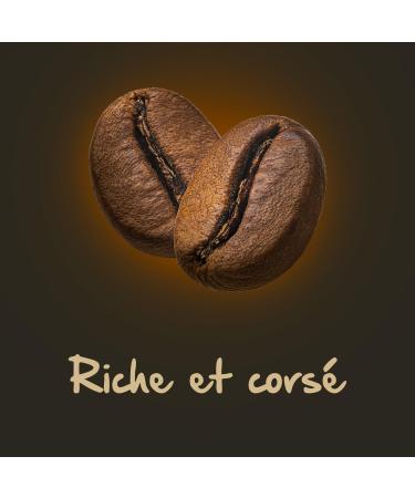  Naturela NaTURELA ORGANIC EXPERTISE - Coffee Beans - Intense Pure Arabica Coffee Beans - Slow Roasting - Made in France - 1 kg - Buy Online on GoSupps.com