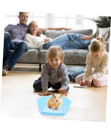 BESPORTBLE Box Rabbit Toilet Bunny Accessories Critter Bath Toilet Pan Tray Bunny Supplies Hamster Plastic Blue - Buy Online on GoSupps.com