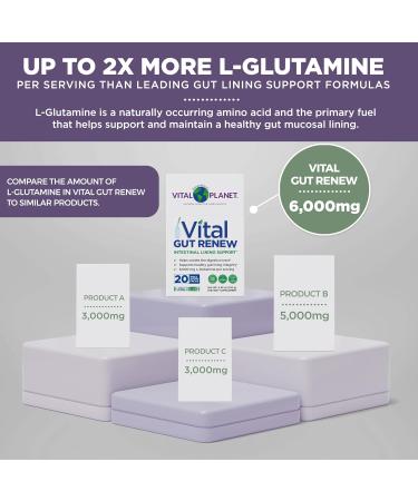 Vital Planet Gut Renew Powder Supplement - Leaky Gut Repair with L-Glutamine Marshmallow Ginger & Aloe Vera | 20 Single Serve Packs | International Shipping Available - Buy Online on GoSupps.com
