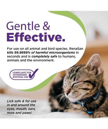RenaSan Animal First Aid Spray (100ml) - Veterinary-Grade Skin Protection for Dogs, Cats & More - Fights Infection, Kills Bacteria, Stops Itching - Alcohol-Free & Non-Irritating - Buy Online on GoSupps.com