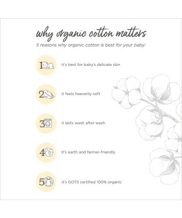 Washcloths 6-Pack - Super Soft Absorbent Knit Terry, 100% Organic Cotton, Heather Grey - Buy Online on GoSupps.com