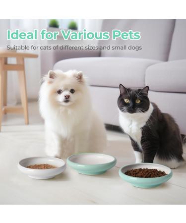 ComSaf Ceramic Cat Feeding Bowl Wide Shallow Cat Food Water Dish Whisker Friendly Design Whisker Fatigue Free shallow cat bowl Non Spill Pet Bowl 300ML Pack of 2 Green Green*2 - Buy Online on GoSupps.com