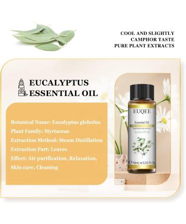 EUQEE Eucalyptus Essential Oil 10ml Pure Eucalyptus Oil Essential Oil Aromatherapy Essential Oils for Diffusers Eucalyptus 10 ml (Pack of 1) - Buy Online on GoSupps.com