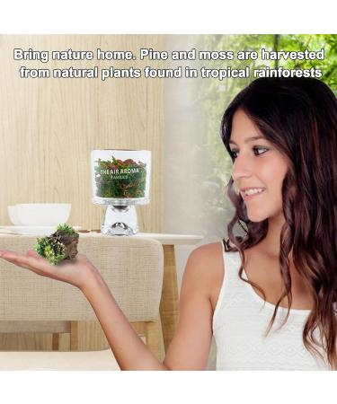 Moss and Pine Essential Oil Diffuser - Long-Lasting Aromatherapy for Home Office & Car - Multiple Scents Available - Buy Online on GoSupps.com