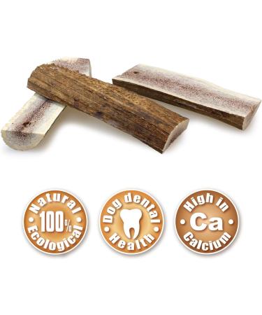 Arquivet Medium Deer Horn l (81 120 GR) 100 GR - Buy Online on GoSupps.com