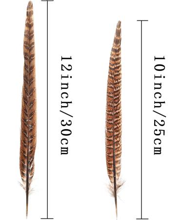 AWAYTR 20pcs Natural Female Pheasant Feathers - 8-11inch DIY Decoration - Buy Online on GoSupps.com