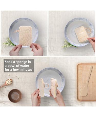 Eco-Friendly Eplanita Natural Dishes Ruts (6-Pack) - Biodegradable Kitchen Scrub Scourer | Zero Waste Luffa Plant - Buy Online on GoSupps.com