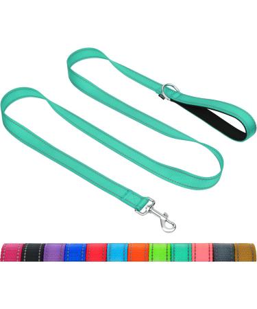 Taglory dog leash medium -sized large dogs light |Reflecting double -sided |Padded handle |Support 10 to 75 kg |1.2m x 2.5cm |Turquoise 1.2 m x 2.5 cm (1 pack) turquoise