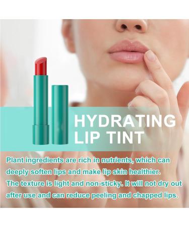 4Pcs Hydrating Lip Tint & Gloss - Natural Ingredients Long-lasting Moisturizing Lip Balm for Women & Girls - Buy Online on GoSupps.com