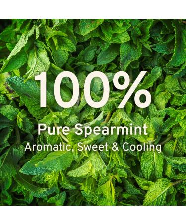 Handpicked Spearmint Tea Bags (100 Count) - Non-GMO, Caffeine Free, Raw & 100% Pure from India | Eco-Conscious Round Tea Bags - Pack of 1 - Buy Online on GoSupps.com