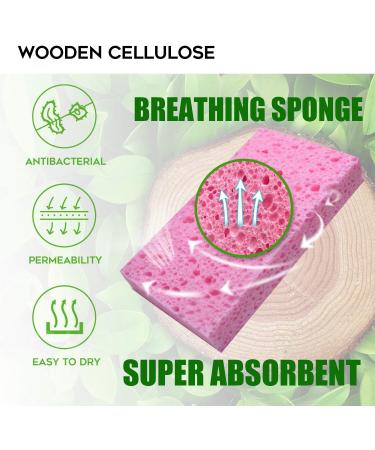 Biodegradable Colored Kitchen Sponge 16-Pack - Non-Scratch Cellulose Dishwashing Sponge - Natural Cleaning Scrub - 16 Count - Buy Online on GoSupps.com