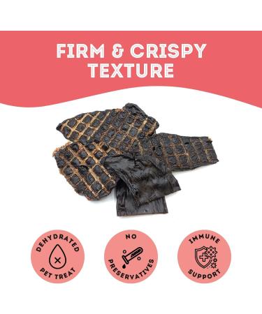 The Granville Island Pet Treatery Bison Liver Treats | Dehydrated Pet Food Treats for Dogs & Cat (80g) Freeze Dried Food Bites | Single Ingredient to Maintain Nutrients Vitamins and Healthy Oils Bison Liver 80 g (Pack of 1) - Buy Online on GoSupps.com