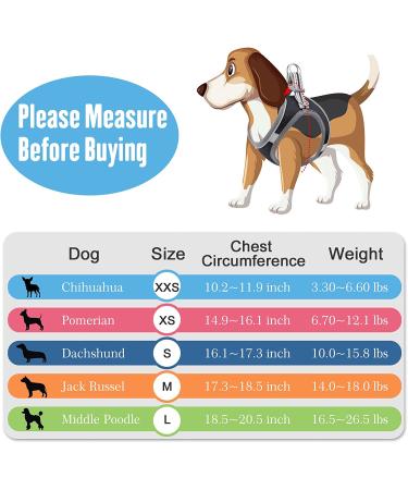 Small Puppy Dog Harness Set | Super Light No Pull Design | All Weather Comfort | Reflective | Black XXS Size - Buy Online on GoSupps.com