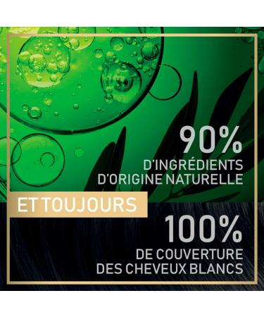 Garnier - Ammonia-Free Permanent Hair Color - 90% Natural Ingredients - Vegan Formula - Belle Color Naturals - Shade: Dark Ash Brown (3.1) - Buy Online on GoSupps.com